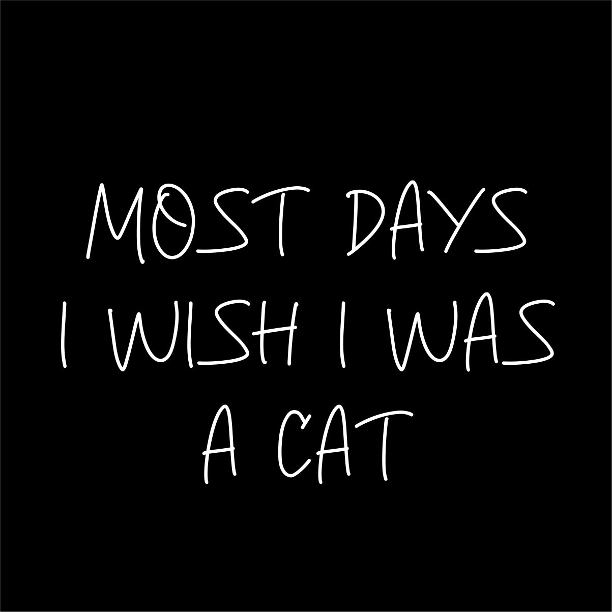 Czarna UNISEX koszulka "Most days I wish I was a cat"